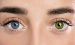 Los ojos más raros del mundo: descubre su belleza única 3 ojos de colores diferentes en primer plano