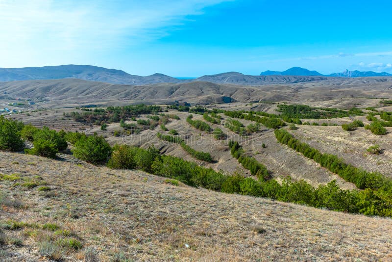 Paisaje de terreno húmedo