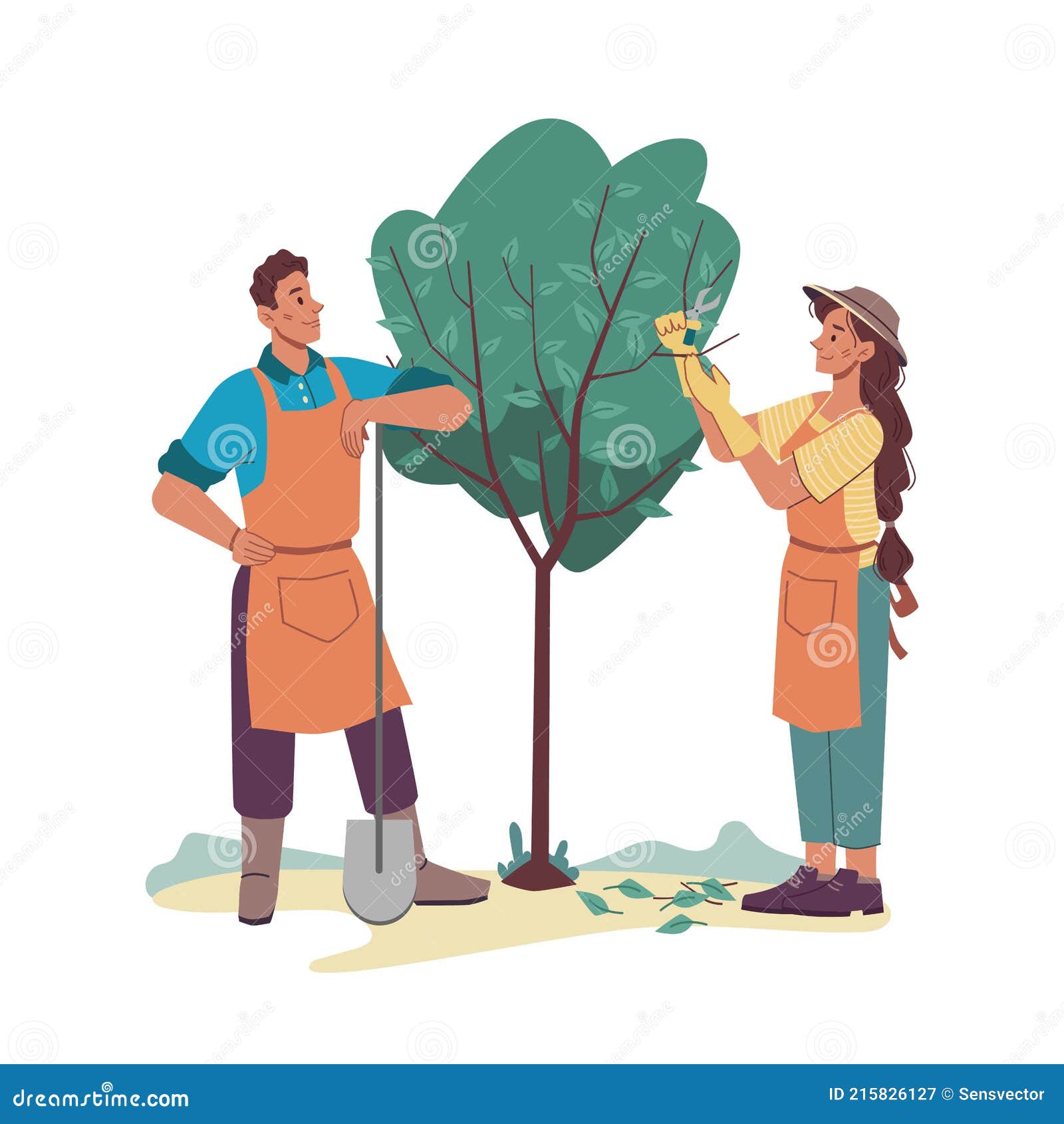 Persona cuidando un árbol perenne