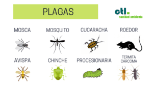 plagas frecuentes