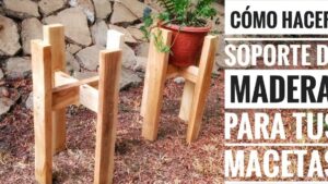 planta inclinada con apoyo de palitos de madera