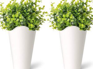 plantas en macetas decorativas como regalo de bienvenida