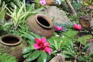 plantas en tinajas de barro como decoracion