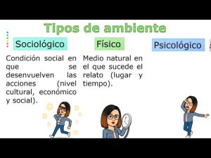 que es un ambiente fisico y social