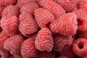 raspberry 1