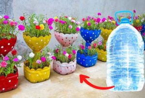 reciclaje de botellas de plastico en casa