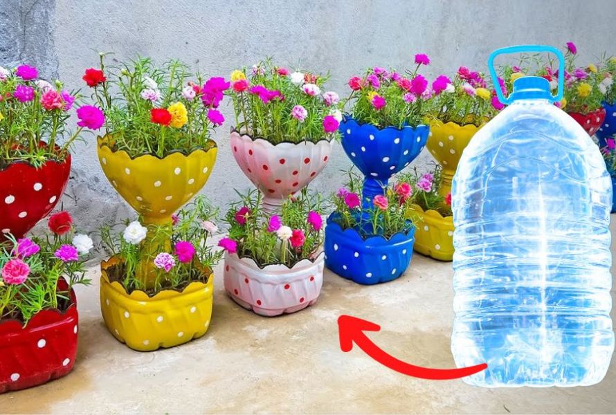 Cómo reciclar correctamente una botella de plástico 4 Cómo reciclar correctamente una botella de plástico