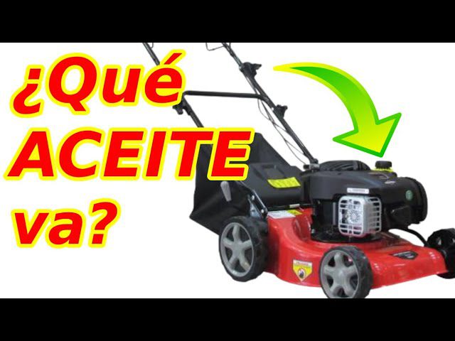 Qué aceite lleva una cortadora de pasto 4 tiempos 3 Qué aceite lleva una cortadora de pasto 4 tiempos