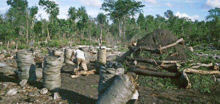 Que Es La Sobreexplotación De Recursos Naturales www.microscopio.pro