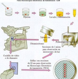 tecnicas de preparacion para microscopio electronico de transmision