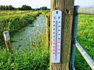 La fascinante respuesta a por qué los termómetros no usan agua 16 termometro con mercurio en lugar de agua