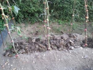 thumbnail 20180909 181651 resized
