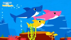 tiburon bebe nadando en el oceano