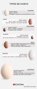 tipos de huevo z