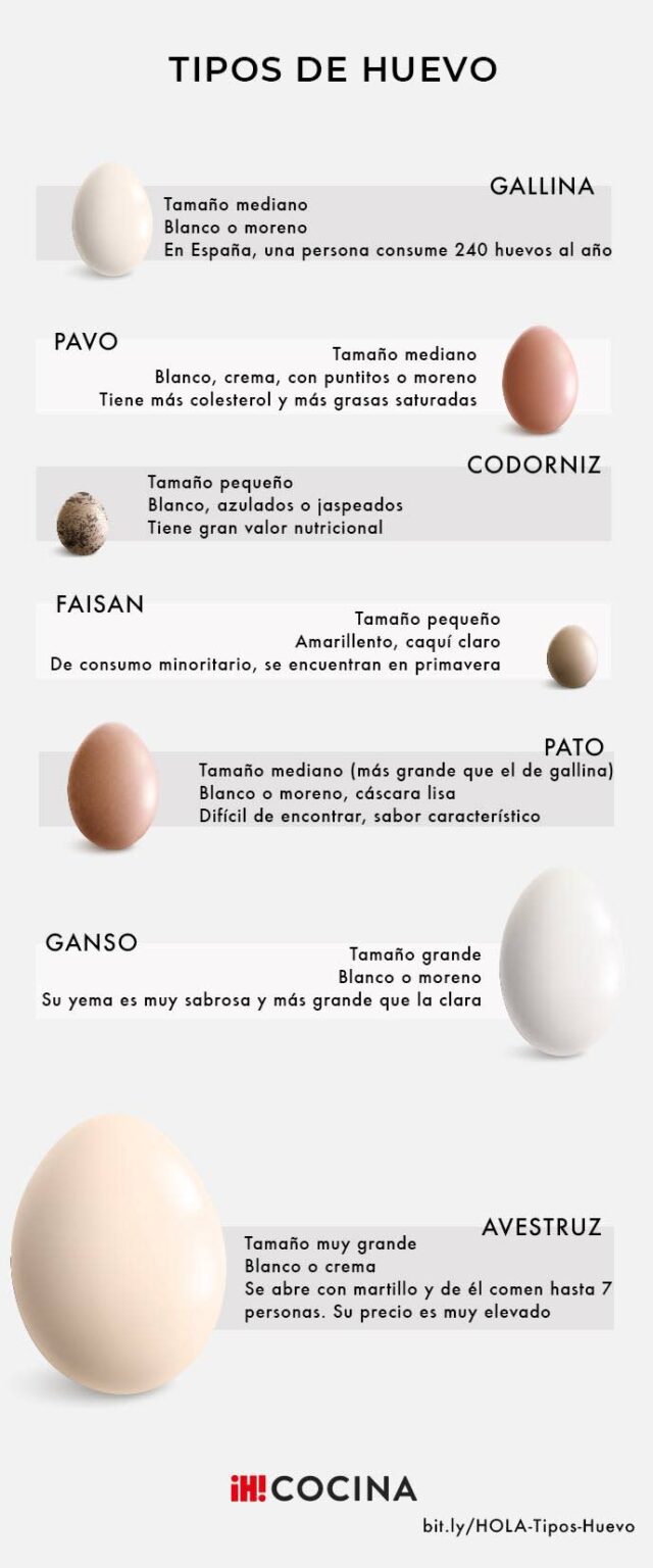 Qué Huevo Es Más Nutritivo El