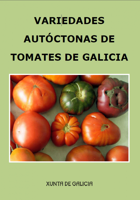 Variedades de tomates en Galicia
