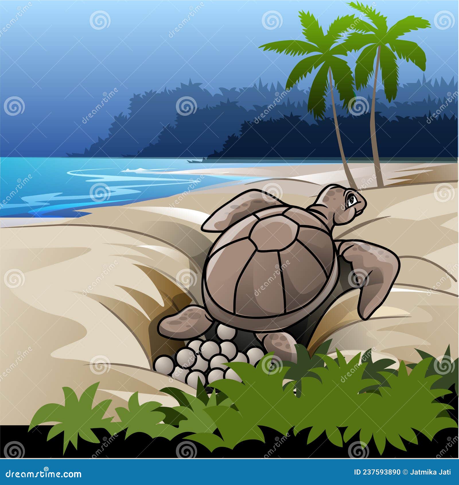 Tortuga poniendo huevos en la arena