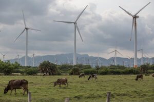 turbina eolica en un paisaje mexicano