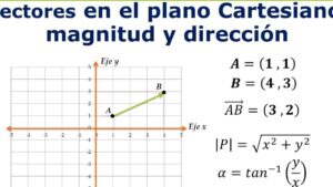 Suma de vectores: Método analítico para resolver problemas de física y matemáticas 11 vectores sumandose en un plano cartesiano