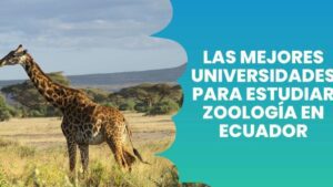 zoologia 34